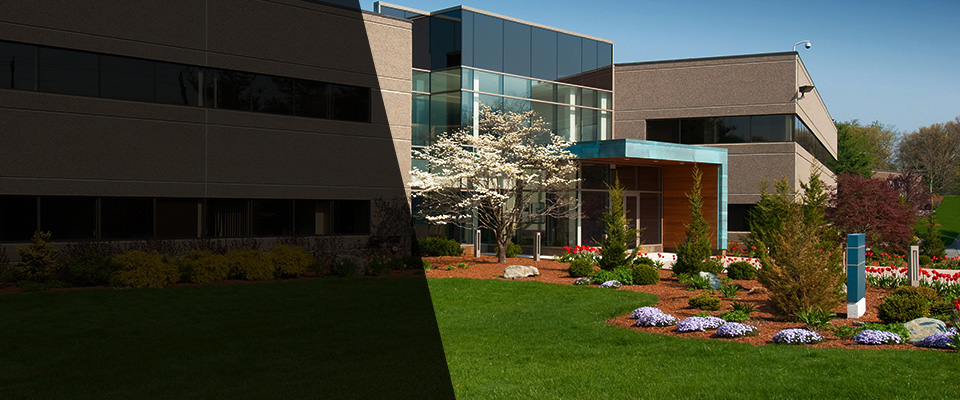 Campbell Landscapers